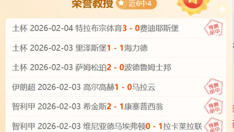 “丙级联赛边裁受伤，球迷紧急替补救援第戎对阵瓦朗谢纳”