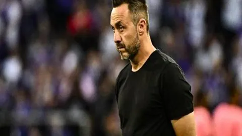 南美杯期号专家质合分析推荐前区十码